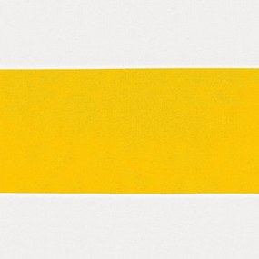 vidaXL Αδιάφανο σκίαστρο μπαλκονιού 200 x 1000 cm
