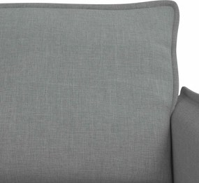 vidaXL Καναπές 2 pcs Ανοιχτό γκρι