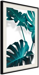 Αφίσα - Turquoise Monstera II - 30x45 - Μαύρο - Με πασπαρτού