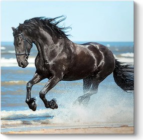 Πίνακας σε καμβά "Black Horse" Megapap ψηφιακής εκτύπωσης 60x60x3εκ.