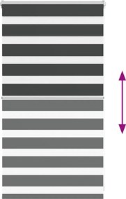 vidaXL Ζέβρα τυφλή Μαύρο Πλάτος υφάσματος 65,9 εκ. Πολυεστέρας