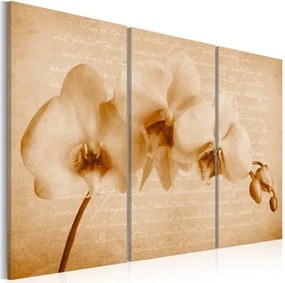 Πίνακας - orchid (vintage) - 60x40