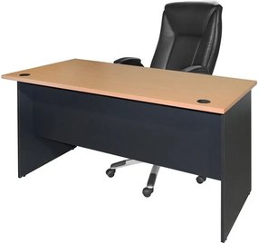 ΓΡΑΦΕΙΟ ΕΠΑΓΓΕΛΜΑΤΙΚΟ ABELINA 150x75x75 HM2016.01 ΓΚΡΙ-ΟΞΙΑ