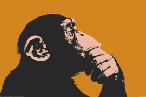 Αφίσα Πίθηκος, (91.5 x 61 cm)