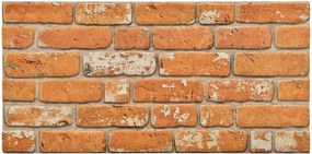 vidaXL Πάνελ τοίχου 10 pcs Τούβλο 100 x 50 cm Αφρός EPS