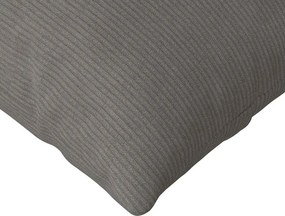 vidaXL Μαξιλάρι Καναπέ 2 pcs Ανοιχτό γκρι 145 x 40 εκ.