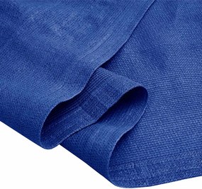 vidaXL Χαλί Σκηνής Μπλε 250 x 600 εκ. από HDPE