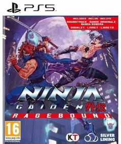 Βιντεοπαιχνίδι PlayStation 5 Just For Games