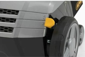 Σπαρακτική μηχανή για γκαζόν Alpina