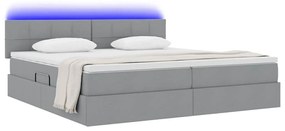 vidaXL Κρεβάτι με αποθηκευτικό χώρο και LED Ανοιχτό γκρι 200 x 200 cm