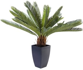 Διακοσμητικό Φυτό Cycas Tree Πράσινο 40x20x78 εκ. - Πράσινο