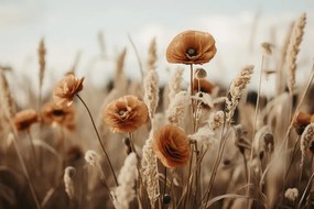 Φωτογραφία Orange Poppy Field, Treechild