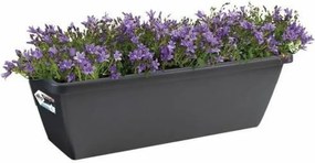 Βάζο Λουλουδιών Elho Μαύρο Ανθρακί Πλαστική ύλη Ορθογώνιο Σύγχρονη