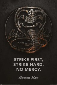 Αφίσα Cobra Kai - Metal, (61 x 91.5 cm)