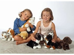 Αρκουδάκι Gipsy Σκύλος