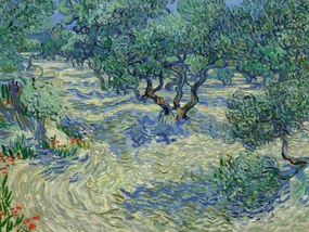 Εκτύπωση έργου τέχνης Olive Orchard - Vincent van Gogh, (40 x 30 cm)