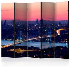 Διαχωριστικό με 5 τμήματα - Bosphorus Bridge II [Room Dividers]