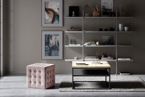 Πουφ Wisdom-Roz - 45.00Χ45.00Χ40.00cm