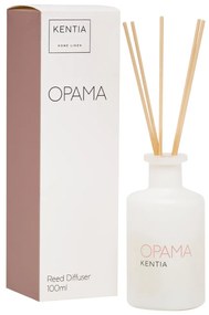 MOOD 25 ΟΡΑΜΑ DIFFUSER DIAMOND SNOW - KENTIA