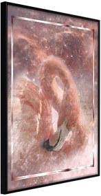 Αφίσα - Stellar Bird - 20x30 - Μαύρο - Χωρίς πασπαρτού