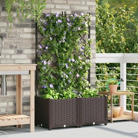 vidaXL Γλάστρα Κήπου με Πλέγμα 2 τεμ Καφέ 80x40x143 εκ