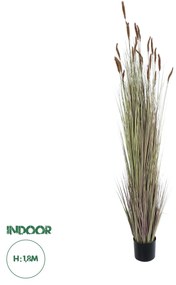 Artificial Garden BROWN LAGURUS 21103 Διακοσμητικό Φυτό Καφέ Λαγοουρά Υ180cm