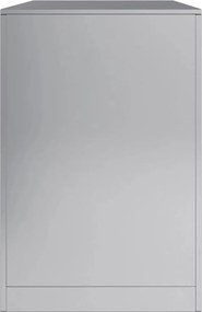 vidaXL Ράφι Καυσόξυλων 100x40x60 εκ. Γαλβανιζέ Ατσάλι