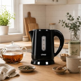 ΒΡΑΣΤΉΡΕΣ MINI KETTLE LIVOO DOD114N