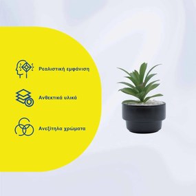 Τεχνητό Φυτό σε Μοντέρνο Μαύρο Κεραμικό Γλαστράκι 8x14cm