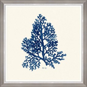 Κάδρο Seaweed  Ii Fa13393 70X70Cm White-Blue Mindthegap Τετράγωνοι Wood
