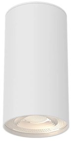 Φωτιστικό Σποτ Braytron BH04-00500 Λευκό (White)