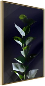 Αφίσα - Floral Elegance - 30x45 - Χρυσό - Χωρίς πασπαρτού