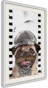 Αφίσα - Dressed Up Pug - 20x30 - Μαύρο - Χωρίς πασπαρτού