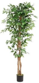 New plan FICUS TREE NP0080_180 ΥΨΟΣ 180cm Τεμαχιο