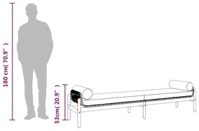 Πάγκος Κήπου Μαύρος από Συνθετικό Ρατάν/Ακακία με Μαξιλάρι - Μαύρο