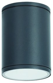 Σποτ Εξωτερικού Χώρου Aca LG2302E27G Grey