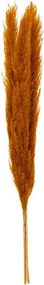 ΤΕΧΝΗΤΆ ΦΥΤΆ PAMPA NAT OCHER X3 H110 179282C
