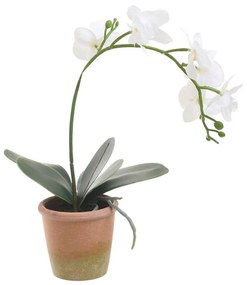 Διακοσμητικό Λουλούδι Σε Γλάστρα 3-85-246-0199 Υ33 White Inart Κεραμικό