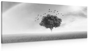 Εικόνα ενός μοναχικού δέντρου σε ένα λιβάδι σε μαύρο & άσπρο - 120x60