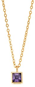 Μενταγιόν Senza Silver 925 Gold Plated