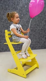 Σετ των 2 Intra απο ξύλο plywood 3mm-4mm πάχος – Ξύλινο ξύλο για ψηλό καρεκλάκι Grow With Me 50x60 cm INTRAVECTRY-MY556585