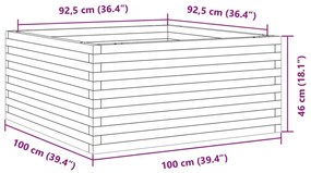 Ζαρντινιέρα Κήπου 100x100x46 εκ. από Μασίφ Ξύλο Ψευδοτσούγκας - Καφέ