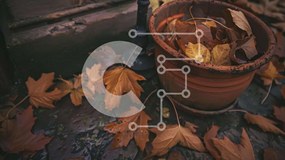 Intra Συλλεκτικό Ξύλινο Παζλ Plywood 4mm - Φθινοπωρινά φύλλα και σκηνή φυτών σε γλάστρες Σε Ξύλινο Κουτί - Διαστάσεις: 10x10 cm – 25 κομμάτια