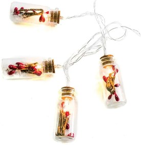 LED λαμπάκια σε σειρά Glass bottle red berry (10) τεμάχια