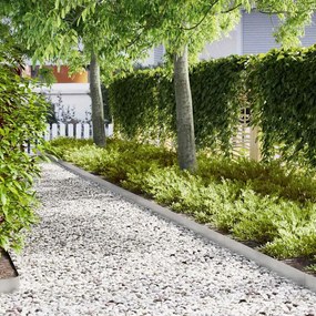 vidaXL Περίγραμμα γκαζόν 50 pcs Ασημί 100 x 0.05 x 20 εκ