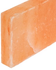 vidaXL Ροζ Πέτρες Αλατιού 10 τεμ 20x10x2,5 εκ, 11,5 κιλά