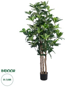 20056 GloboStar® Artificial Garden FORTUNE GUIANA TREE 20056 Τεχνητό Διακοσμητικό Φυτό Καστανιά του Μαλαμπάρ Υ160cm
