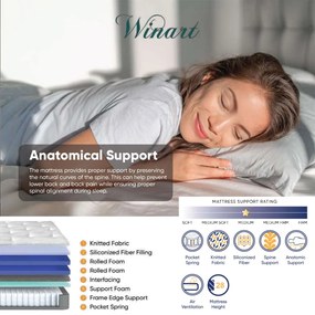 Ανατομικό Στρώμα WINART Διπλό Γκρί 160x200εκ. 160x200x28 εκ.