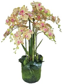 Τεχνητό Φυτό Ορχιδέα 04-94377-5 80cm Multi-Green Marhome Ύφασμα,Πλαστικό