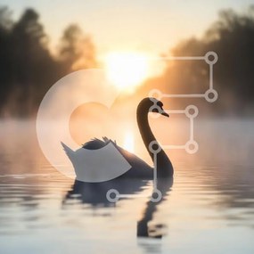 Intra Συλλεκτικό Ξύλινο Παζλ Plywood  4mm - Κύκνος στην Ανατολή Σε Ξύλινο Κουτί - Διαστάσεις: 10x10 cm – 25 κομμάτια